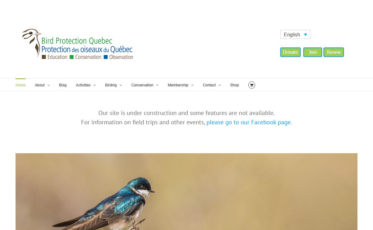 Bird Protection Quebec – Protection des oiseaux du Québec
