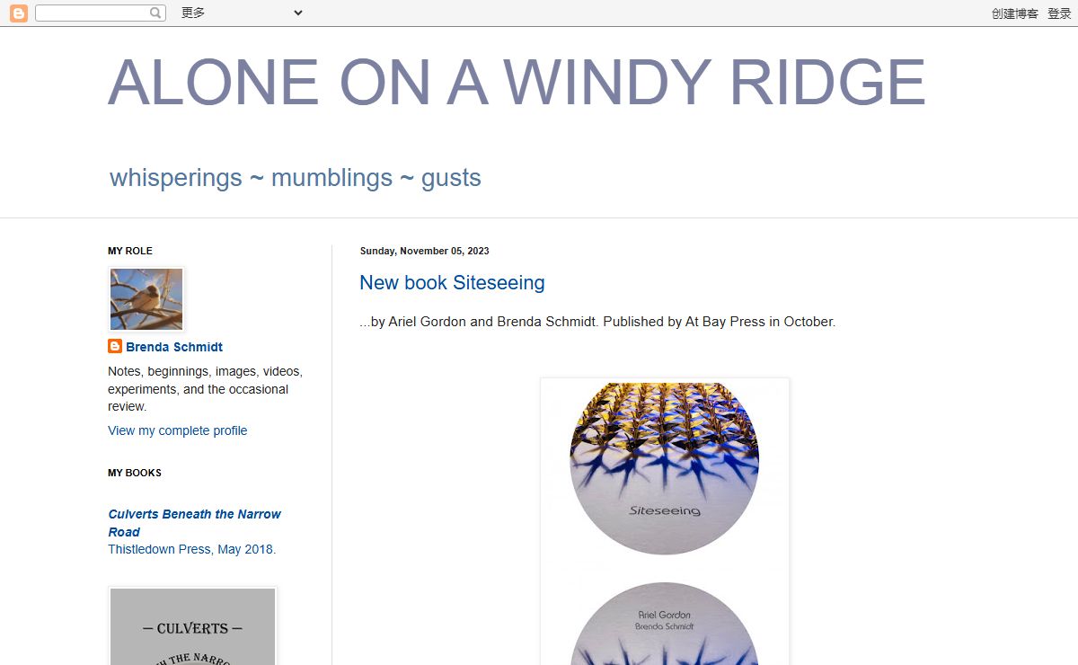 ALONE ON A WINDY RIDGE
