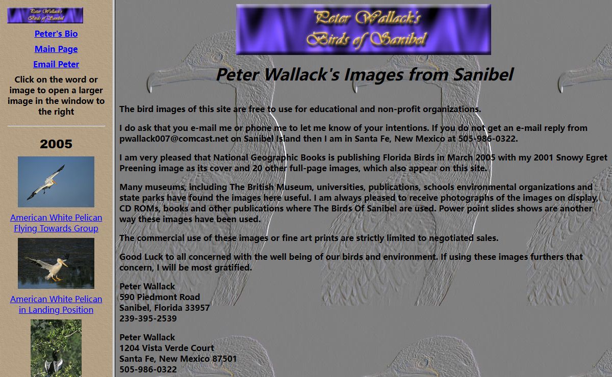 Peter Wallack's Birds of Sanibel