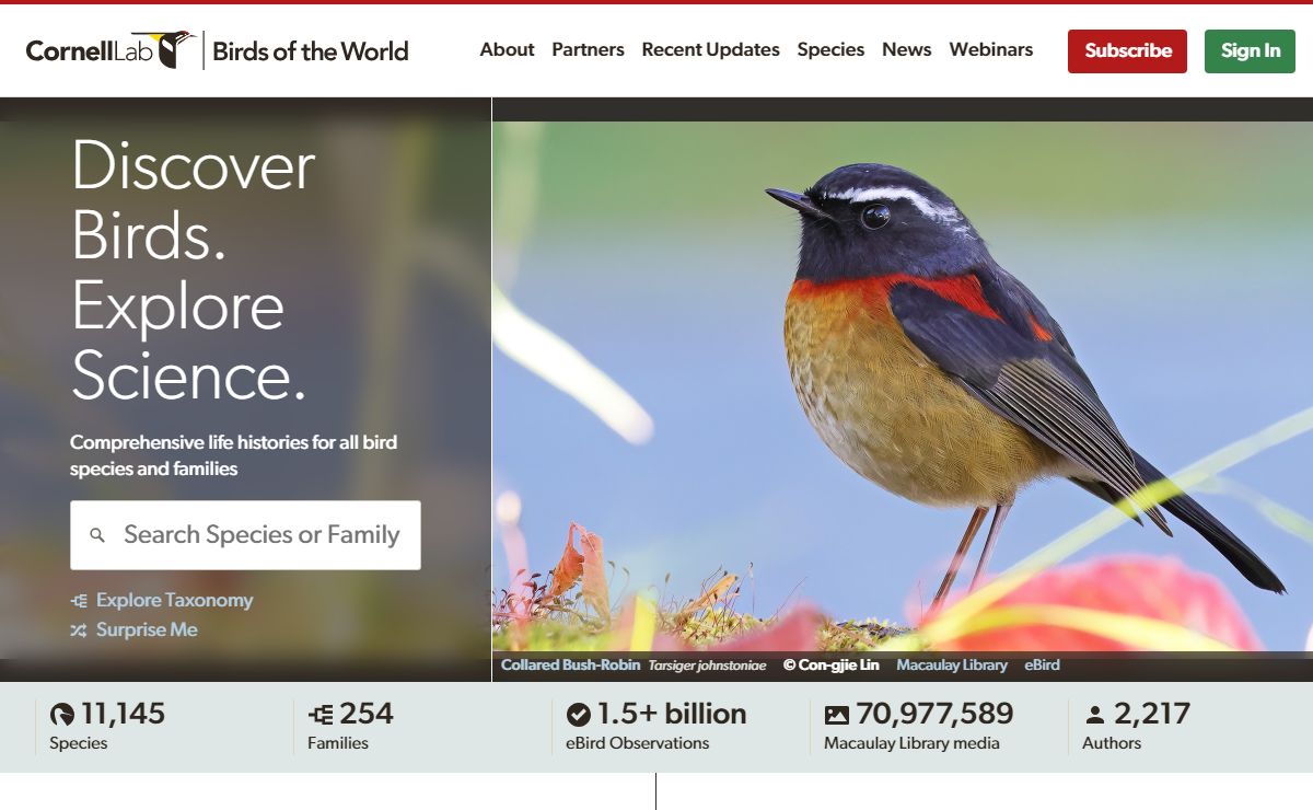 Birds of the World - Cornell Lab of Ornithology