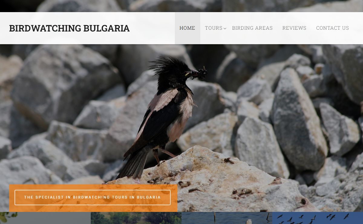 Birdwatching in Bulgaria, Birdwatching Tours and Trips All Over The Country.