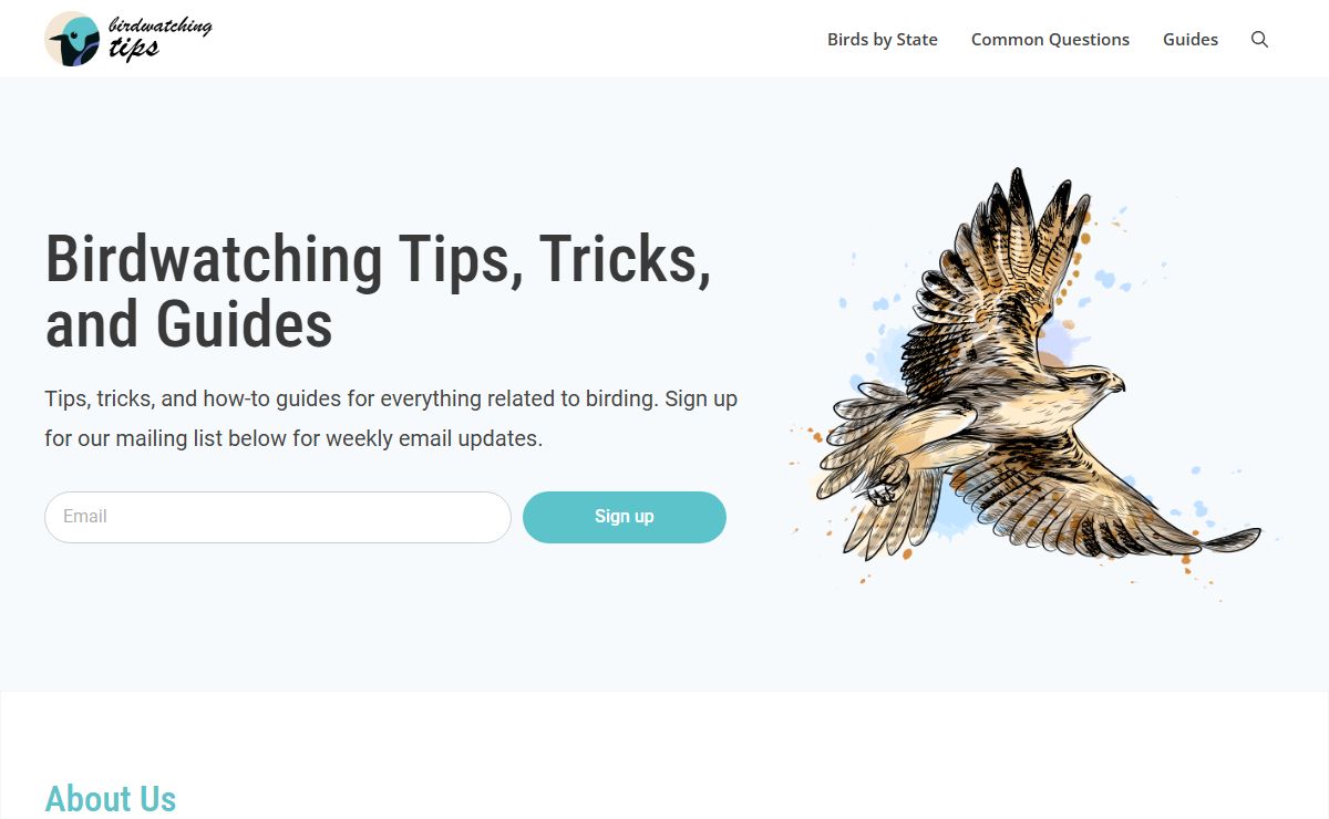 Birdwatching Tips | Learn Birding Like a Pro