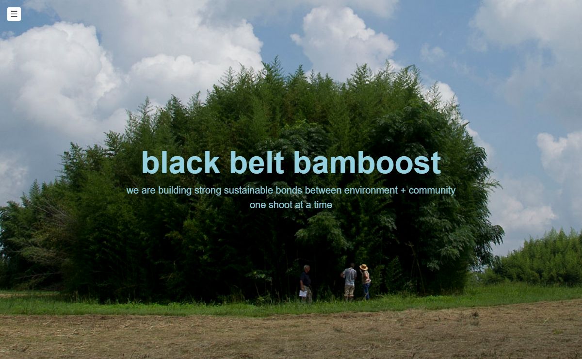 black belt bamboost