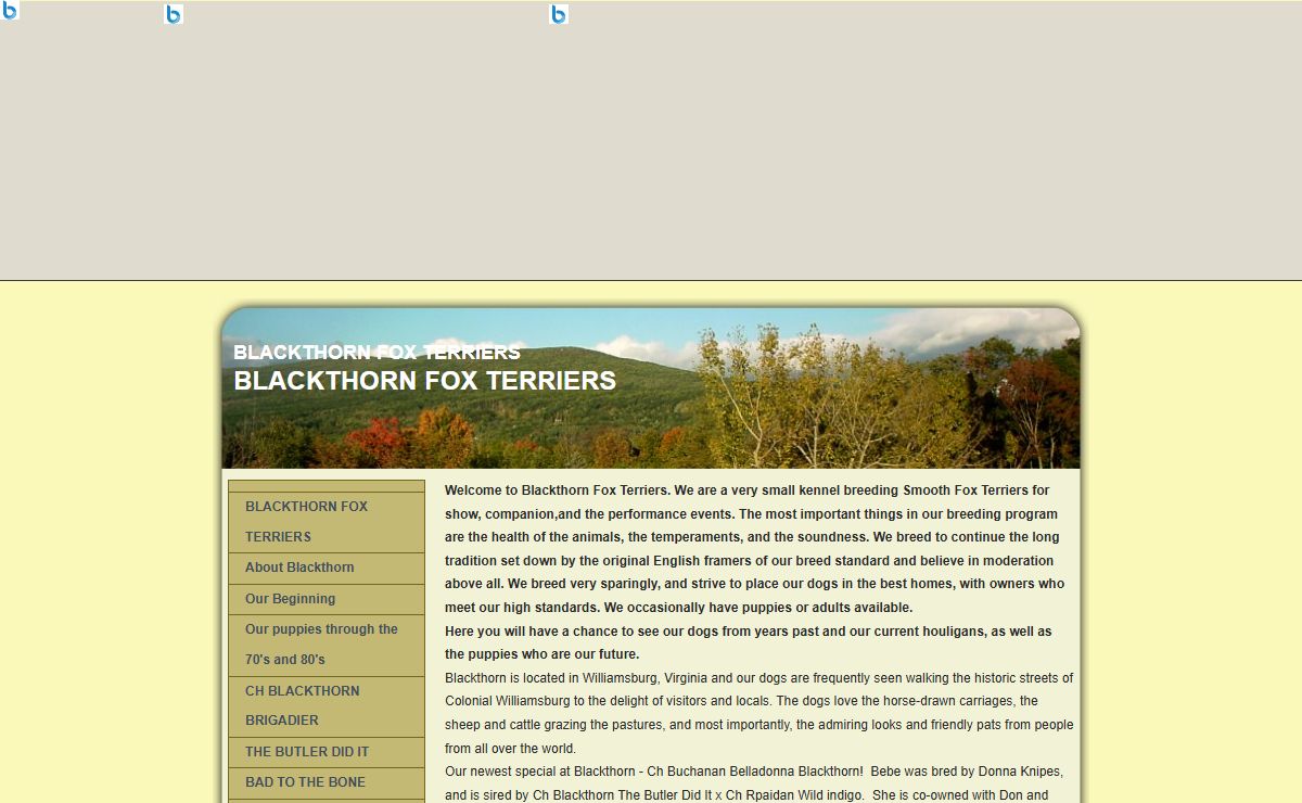 BLACKTHORN FOX TERRIERS