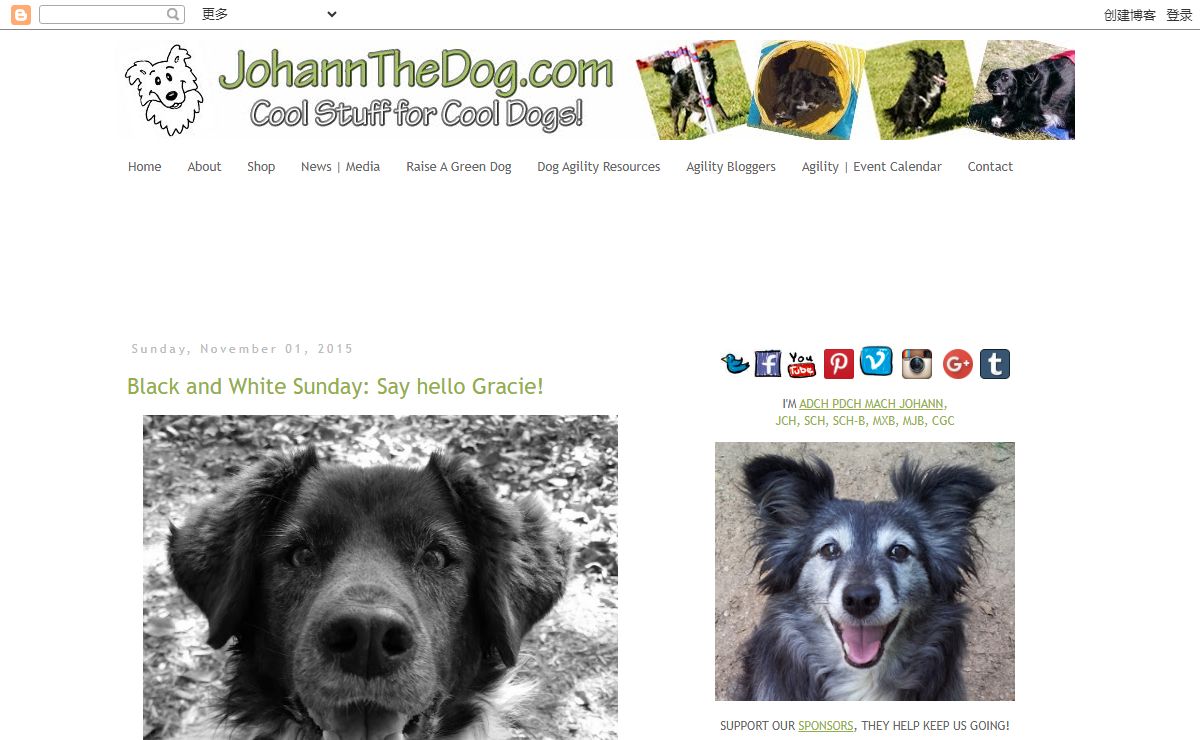 The Days of Johann, an agility dog!