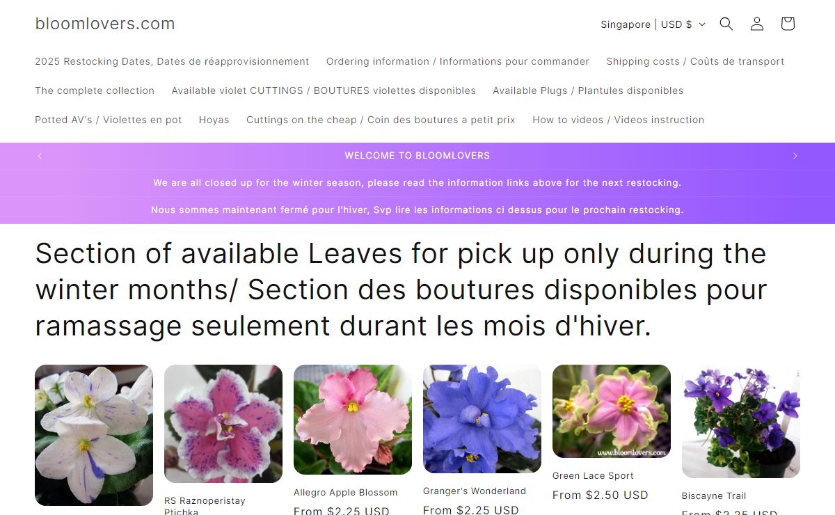 Bloomlovers – bloomlovers.com