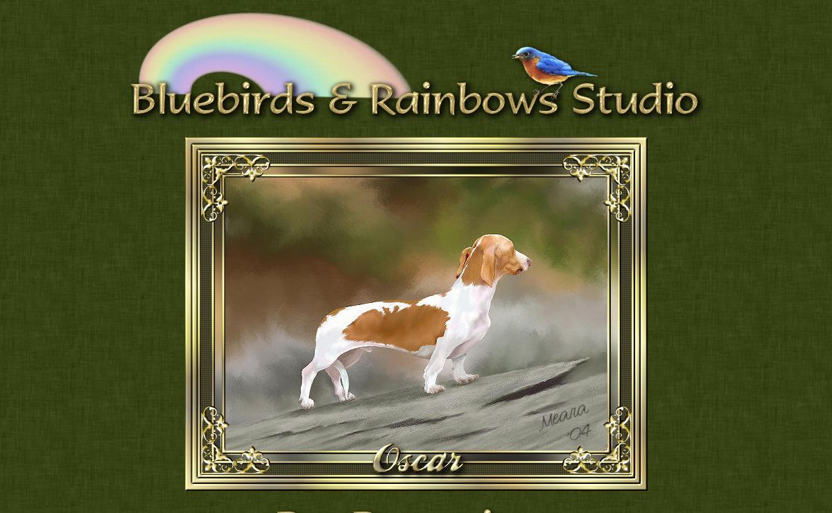 Bluebirds & Rainbows Studio