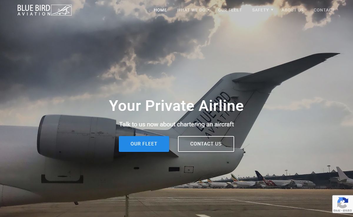 Front Page - Blue Bird Aviation