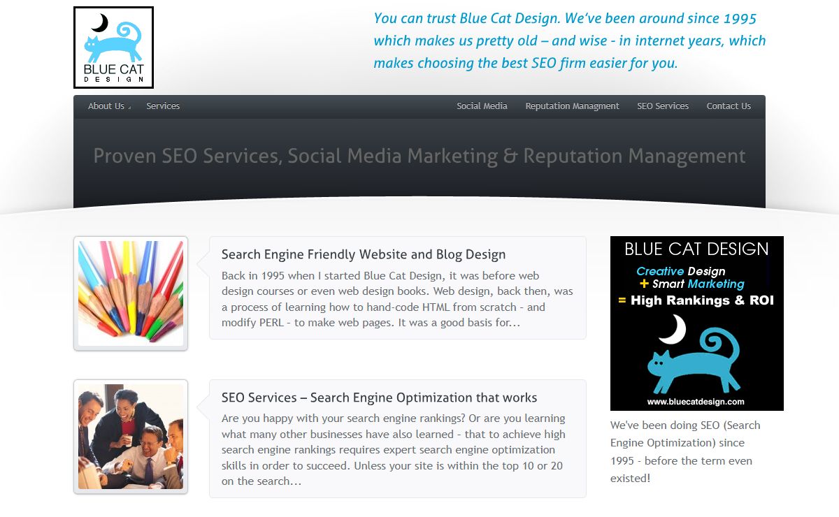 Web Services since 1995 | Blue Cat Design