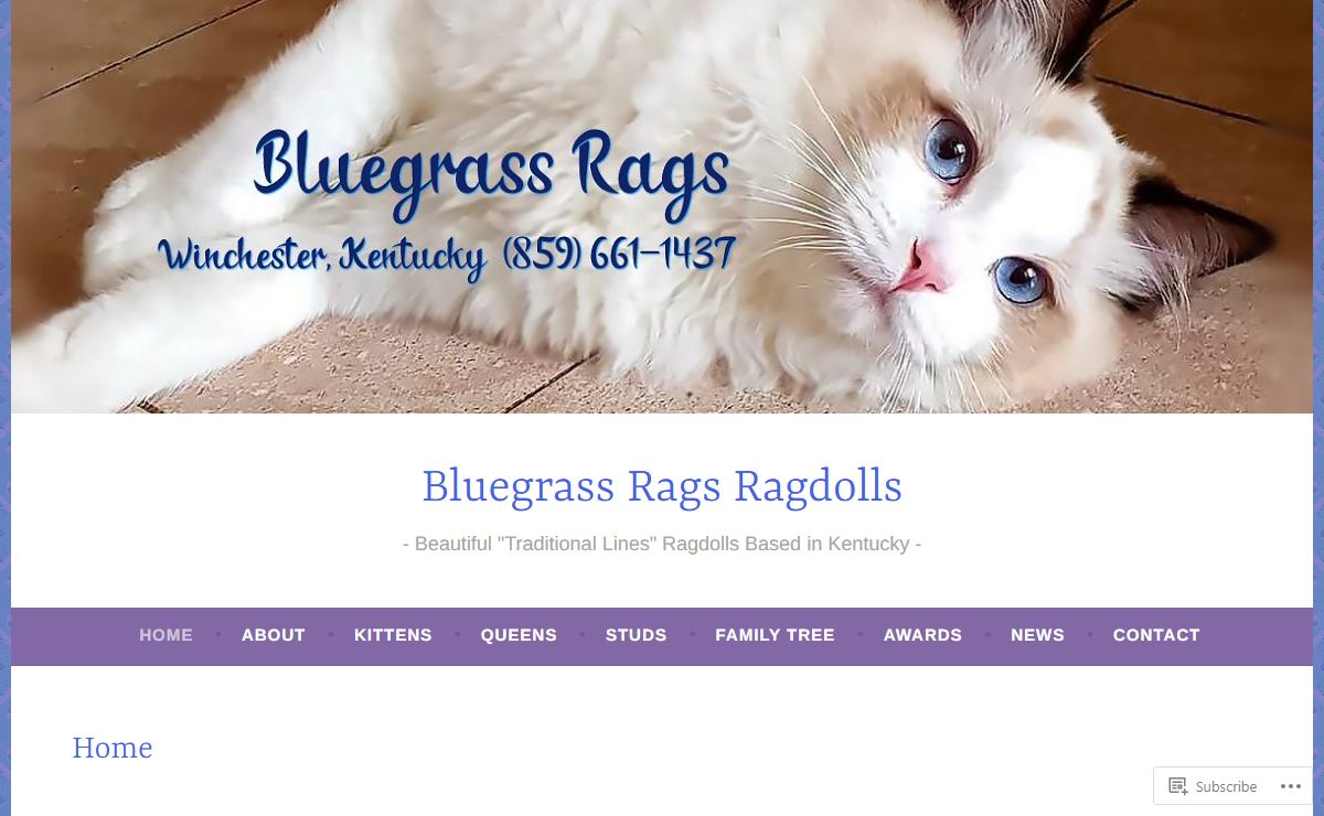 Bluegrass Rags Ragdolls – Beautiful "Traditional Lines" Ragdolls Based in Kentucky