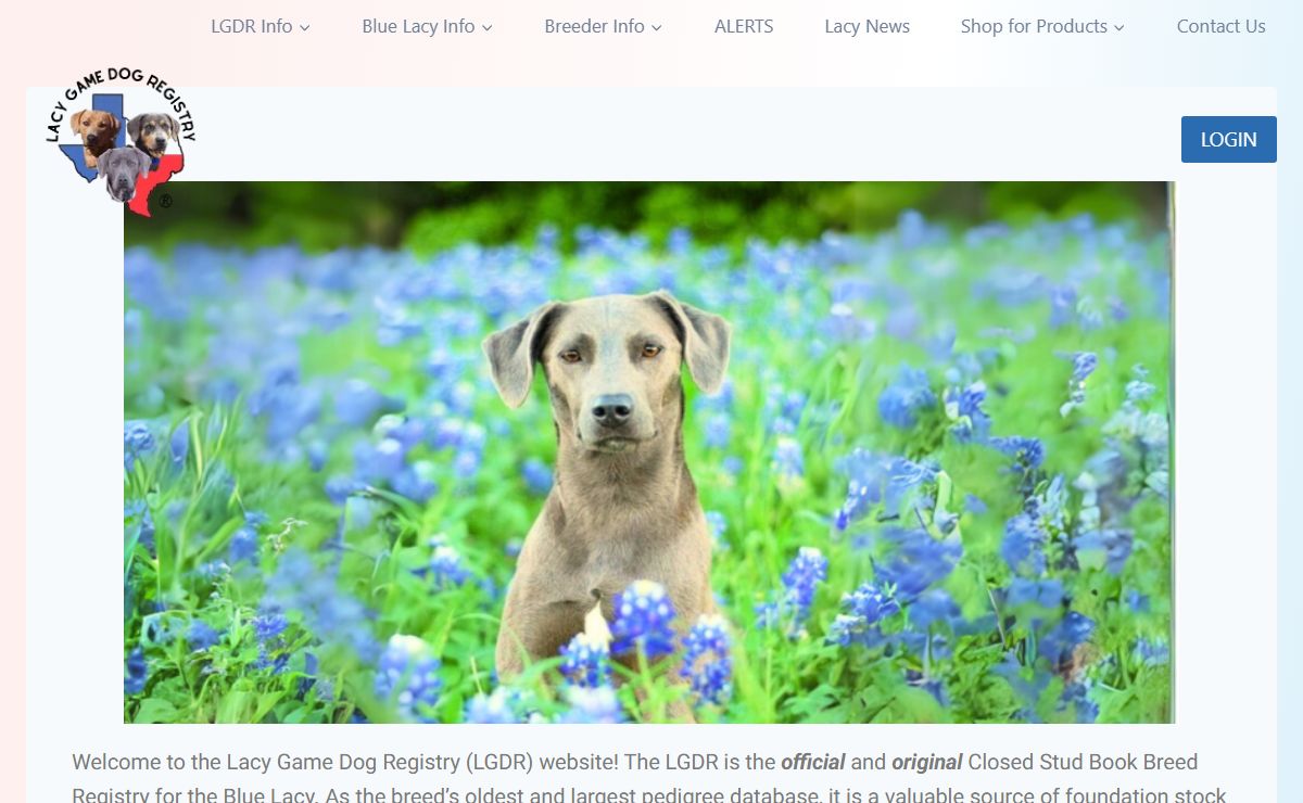 HOME PAGE - Lacy Game Dog Registry