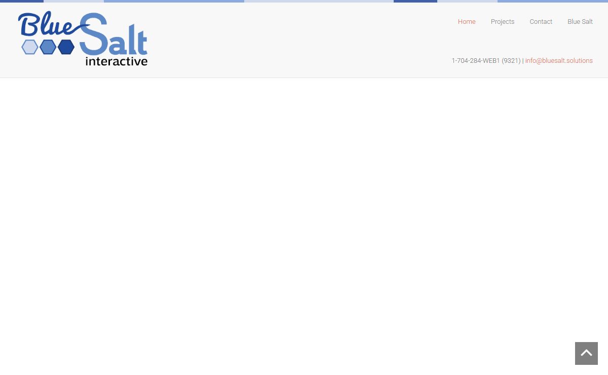Blue Salt Interactive Solutions