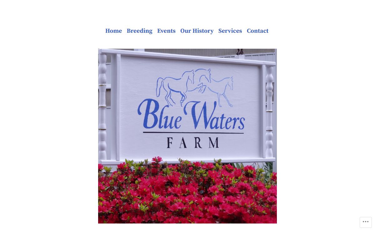 Blue Waters Farm