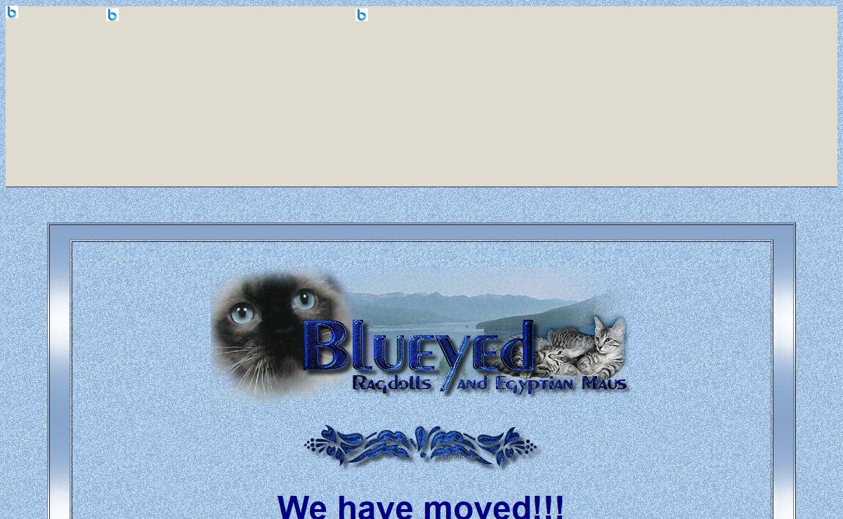 Egyptian Mau and Ragdoll Cats from Blueyed in Maine