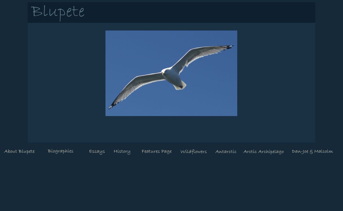 Blupete