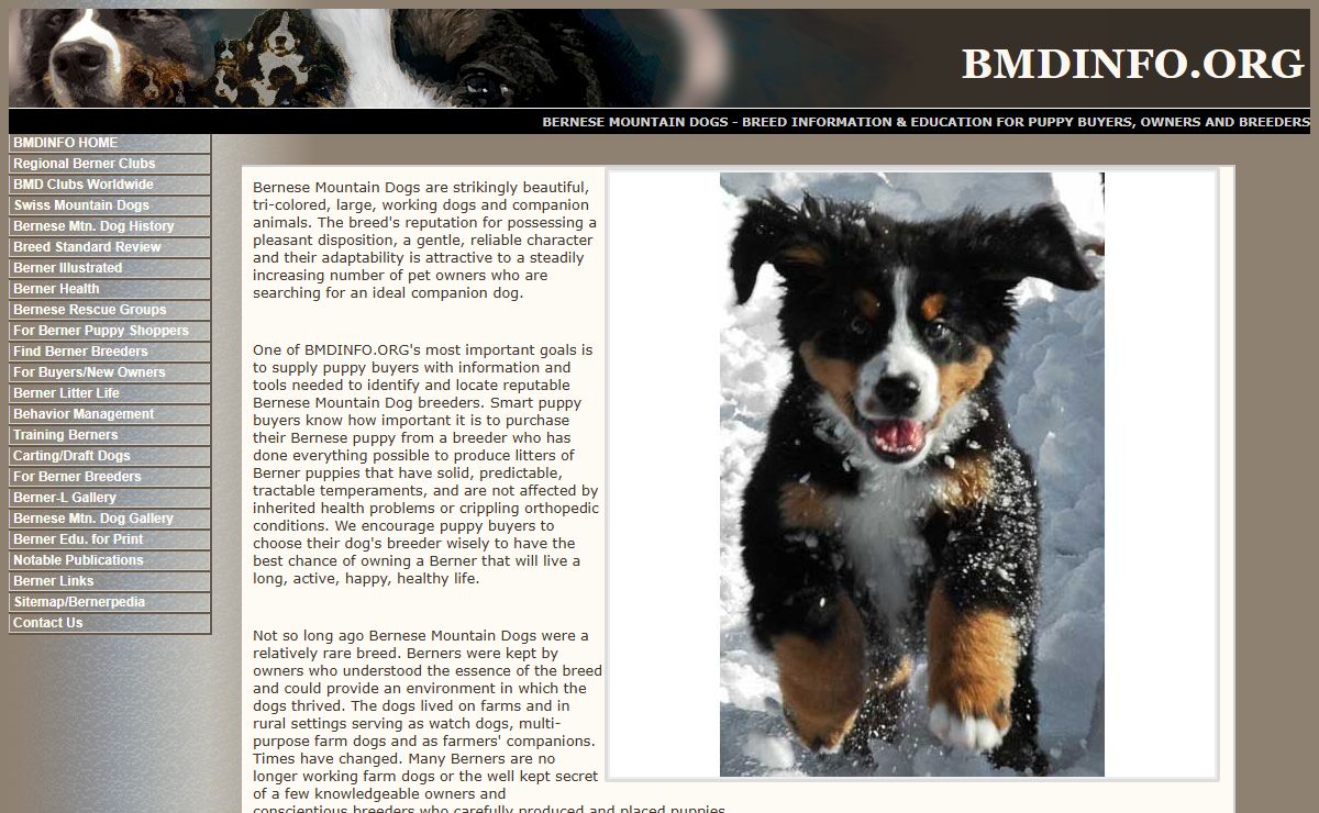 bmdinfo.org