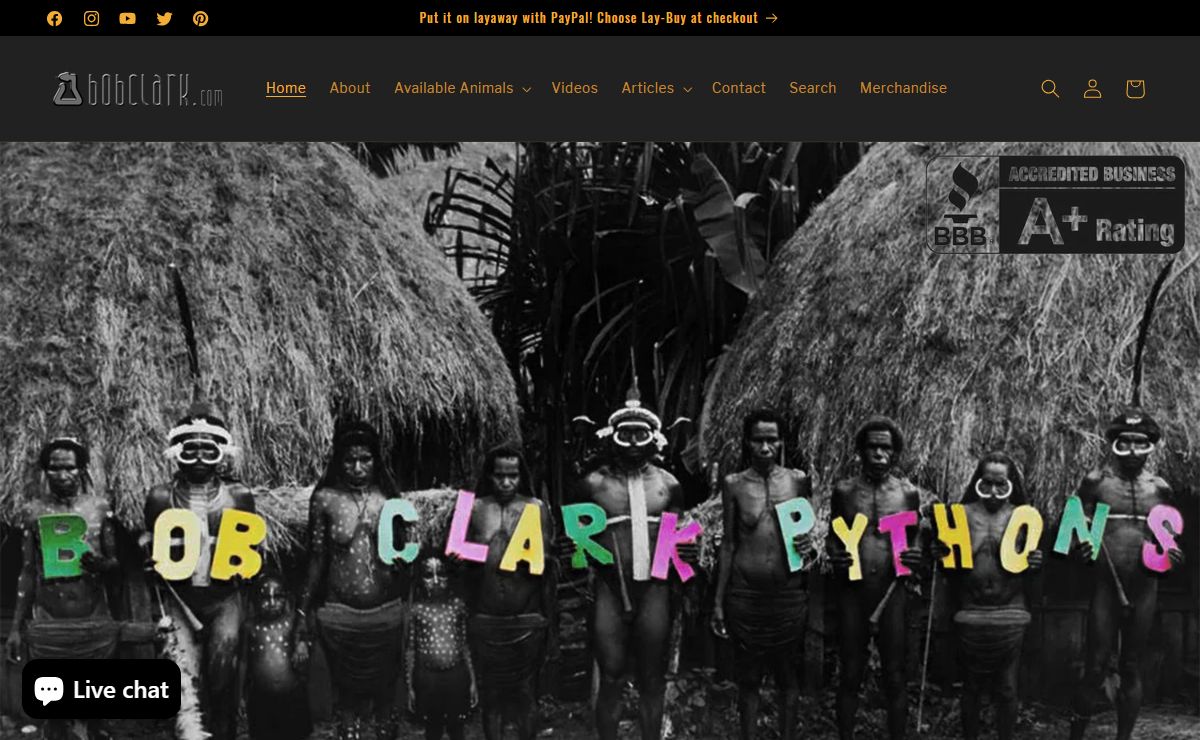 Pythons and Reptiles for Sale | Bob Clark