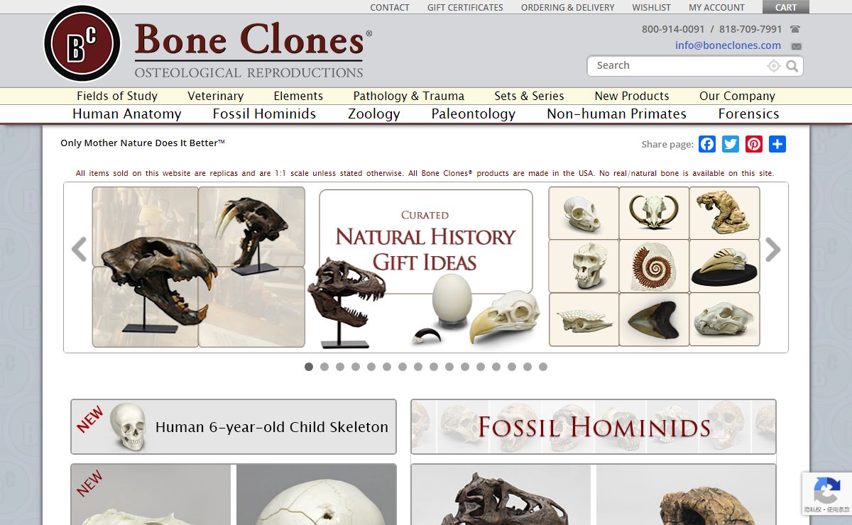 Bone Clones - Osteological Reproductions