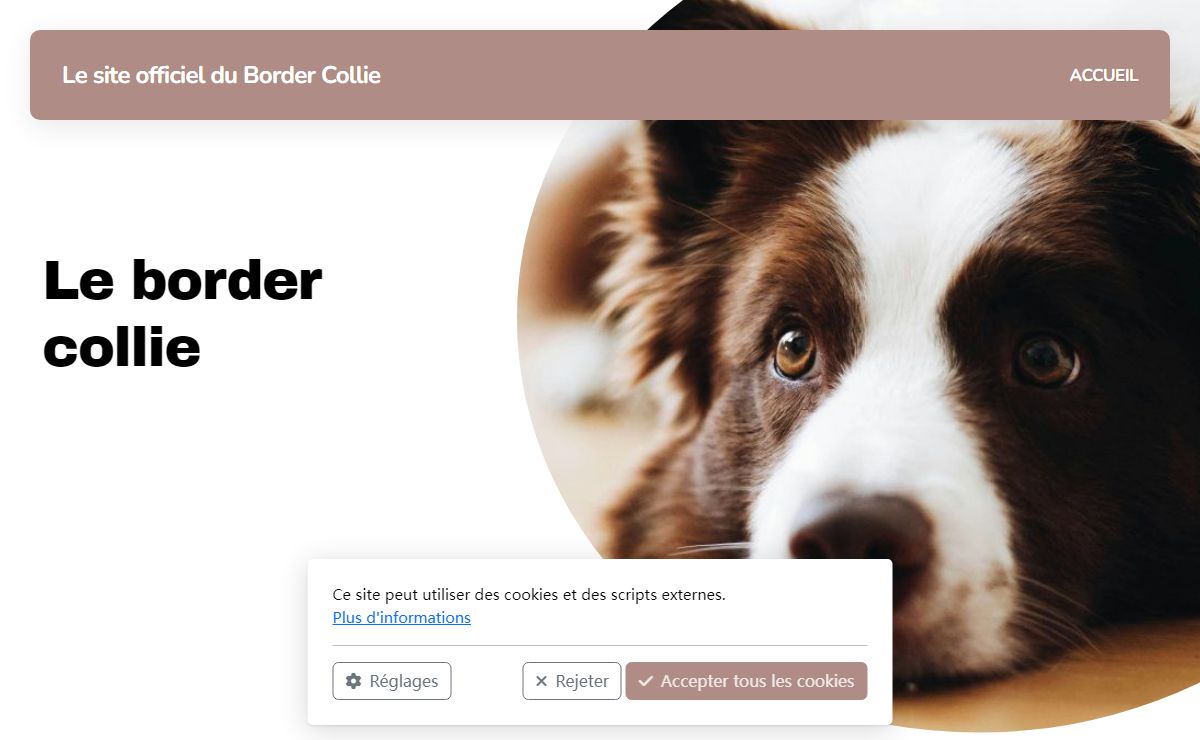Le site officiel du Border Collie