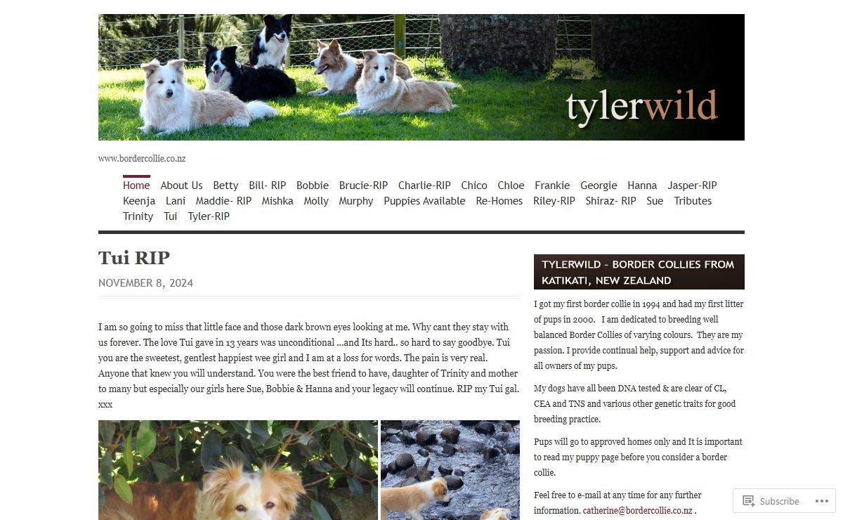 tylerwild | www.bordercollie.co.nz