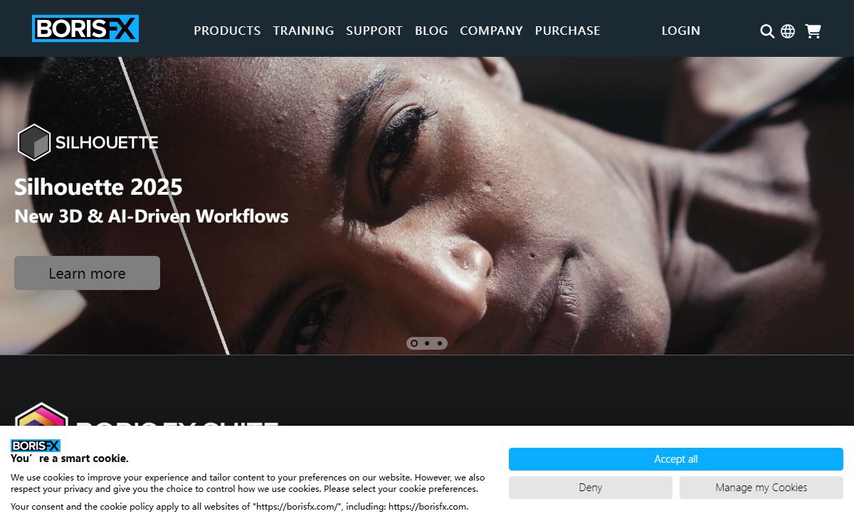 Award-Winning Tools For The Post-Production Industry | Boris FX