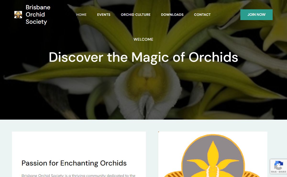 Brisbane Orchid Society