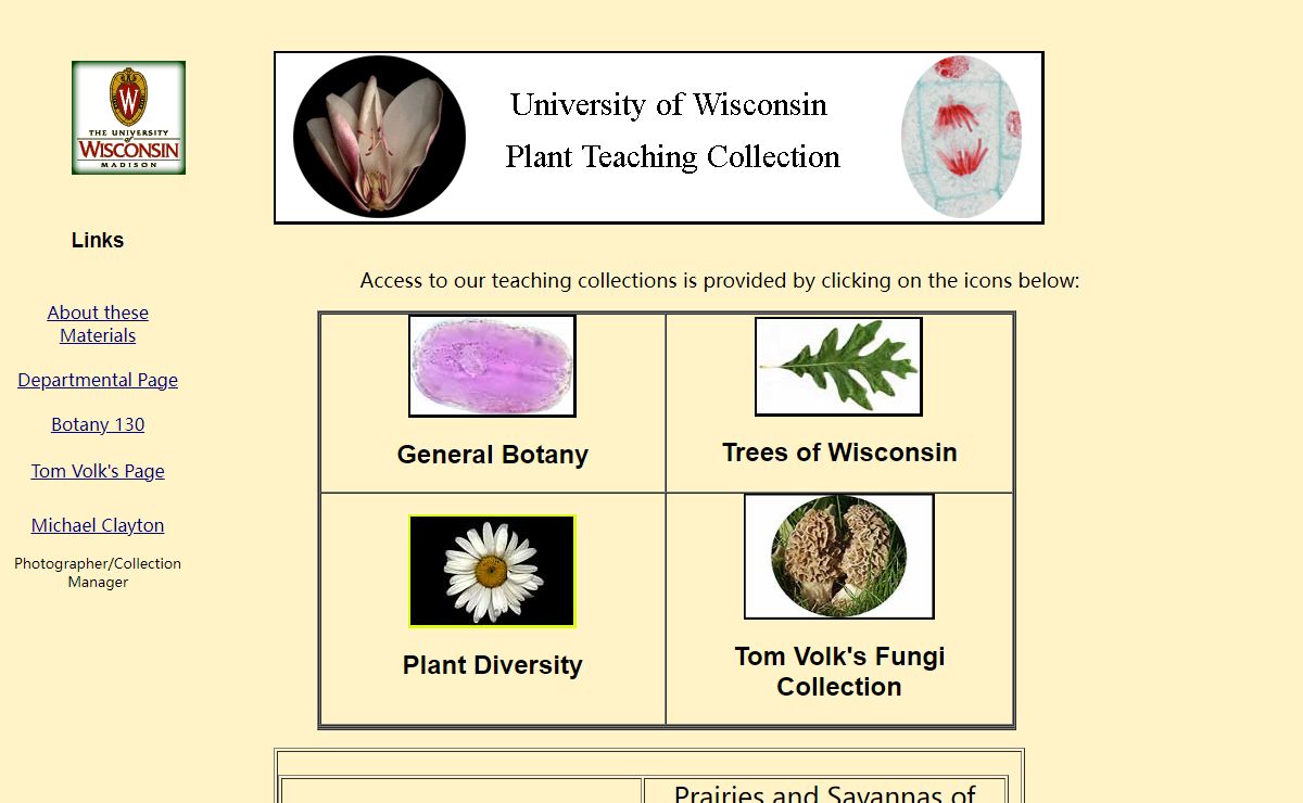 The Virtual Foliage Home Page!