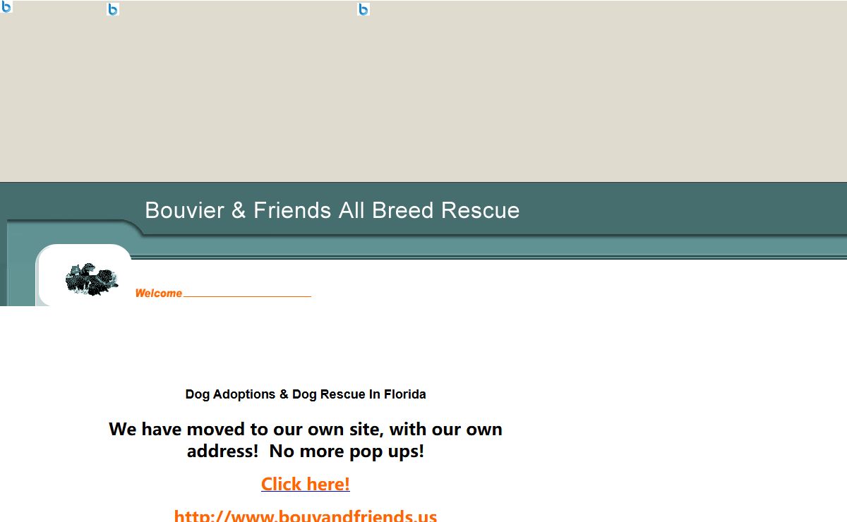 Dog Adoptions in Florida
