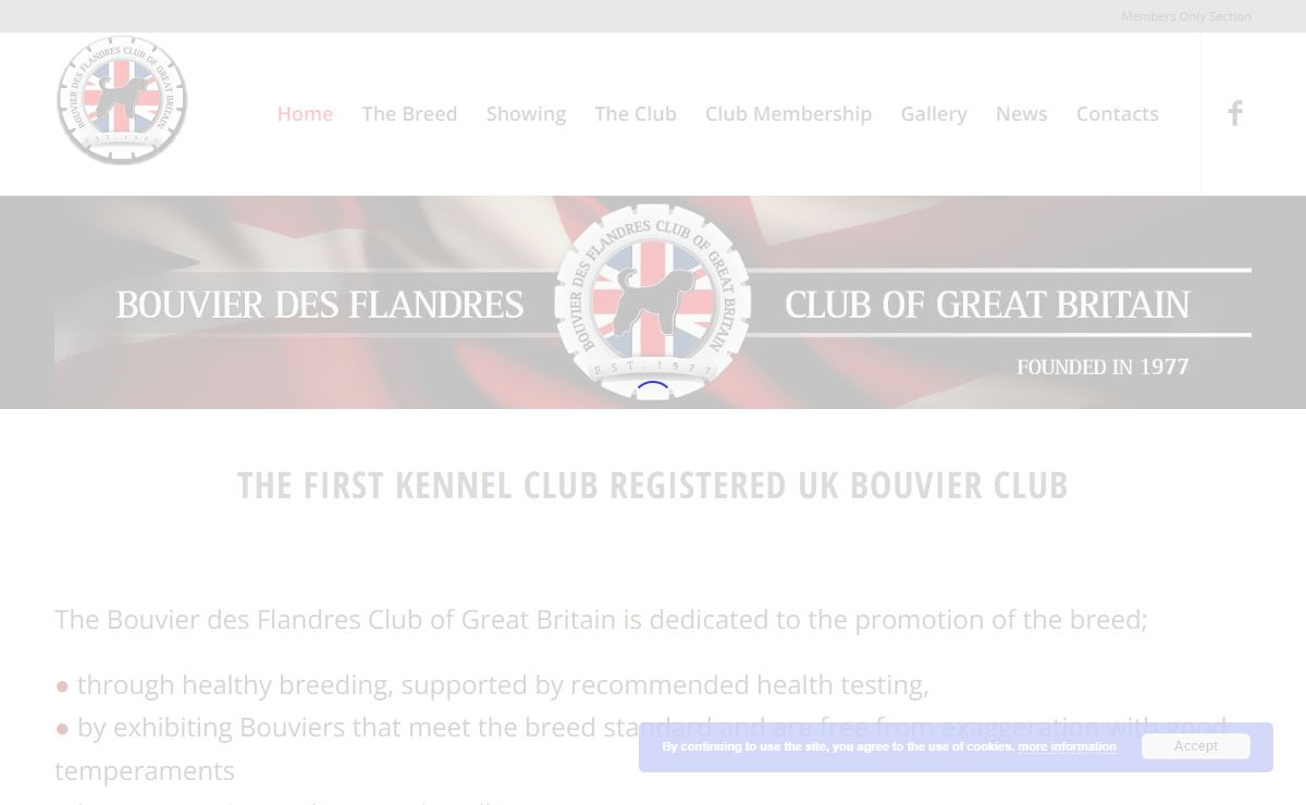 Bouvier des Flandres Club UK