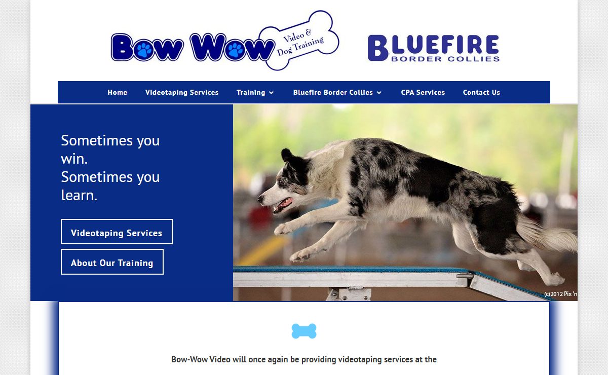 Home - Bow-Wow Video & Dog Training