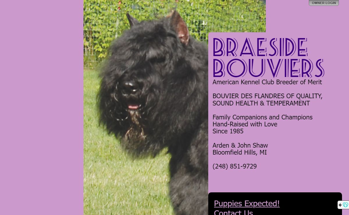 Braeside Bouviers