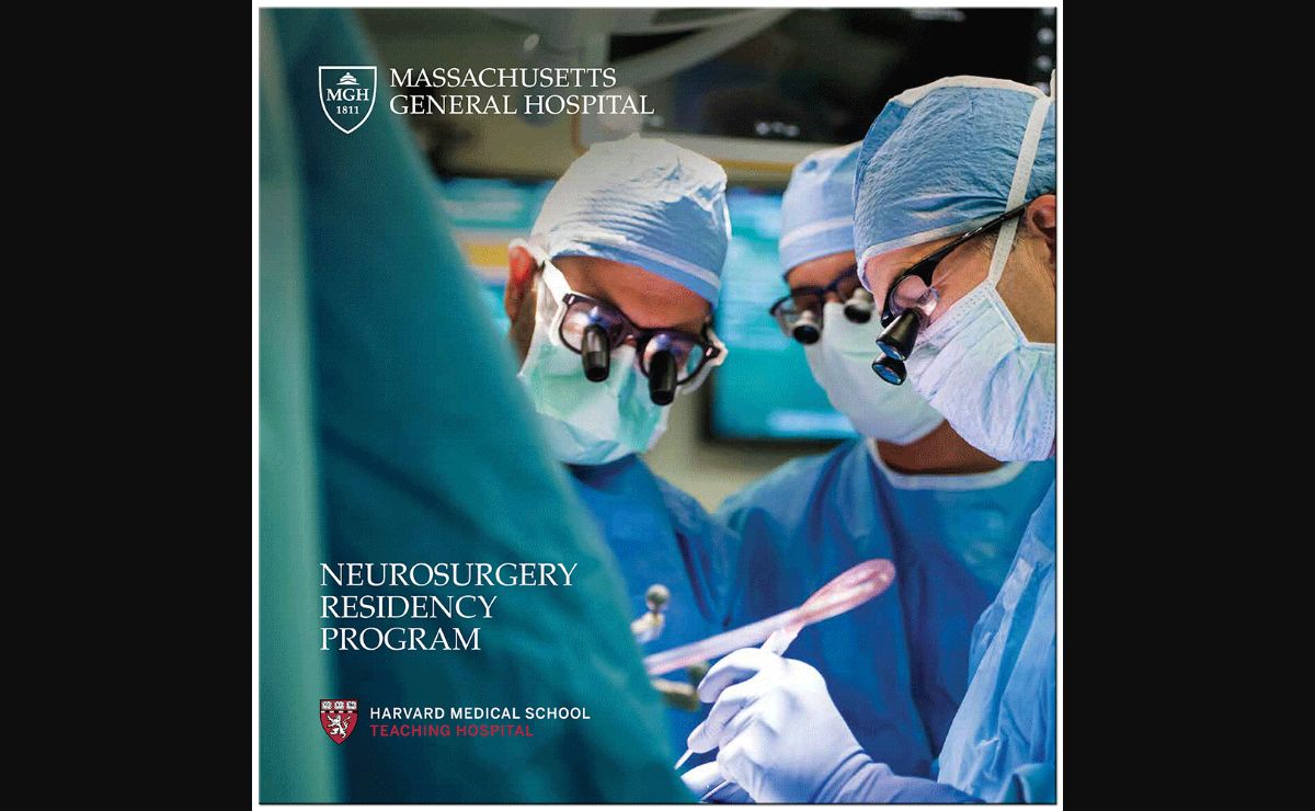 brain.mgh.harvard.edu (1000×1000)
