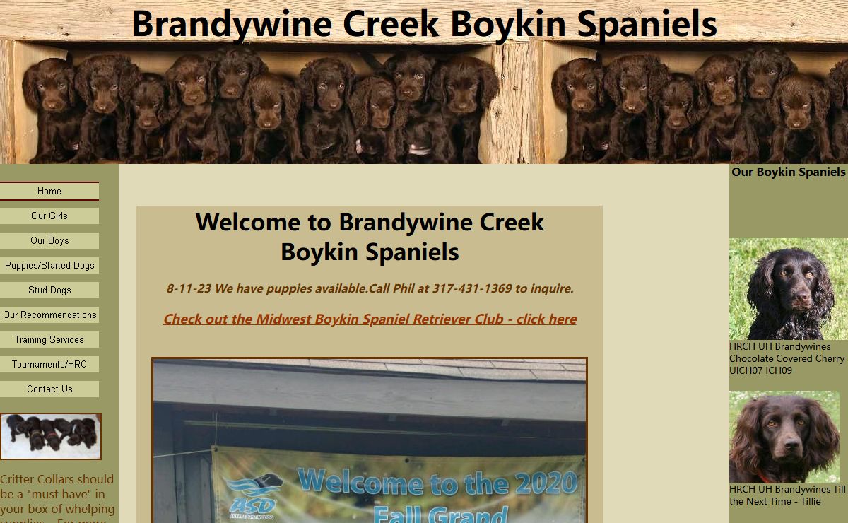 Boykin Spaniel - Brandywine Creek Boykin Spaniels - Home Page