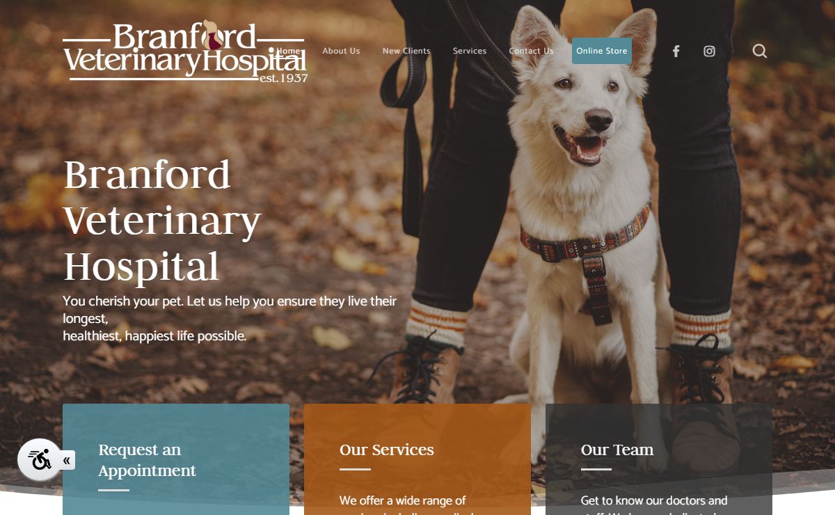Veterinary | Branford Veterinary Hospital | Branford |(203) 488-3949