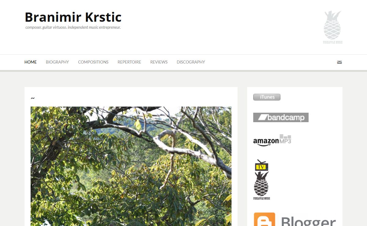 Branimir Krstic – composer. guitar virtuoso. independent music entrepreneur.