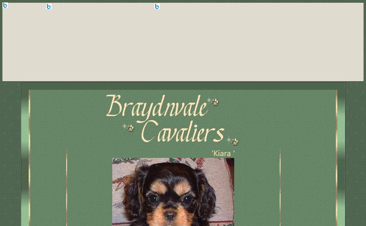 Welcome to Braydnvale Cavaliers