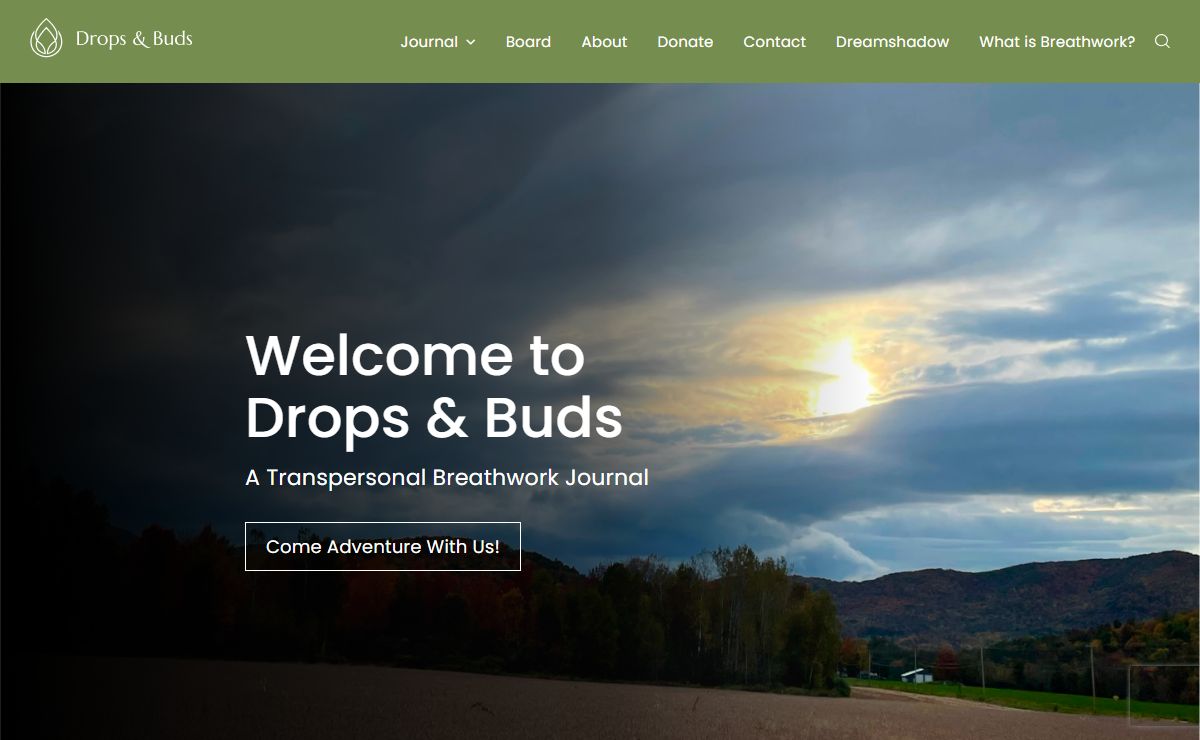 Home - Drop & Buds