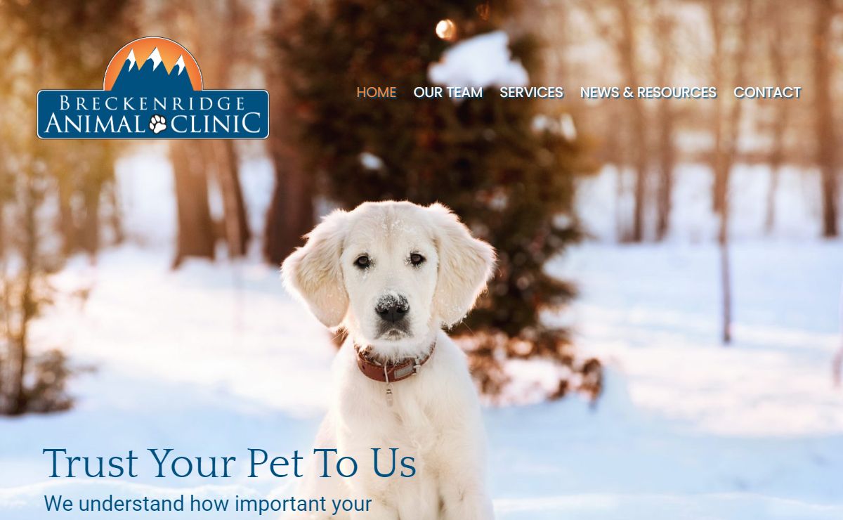 Breckenridge Animal Clinic | Veterinary in Summit County, Colorado