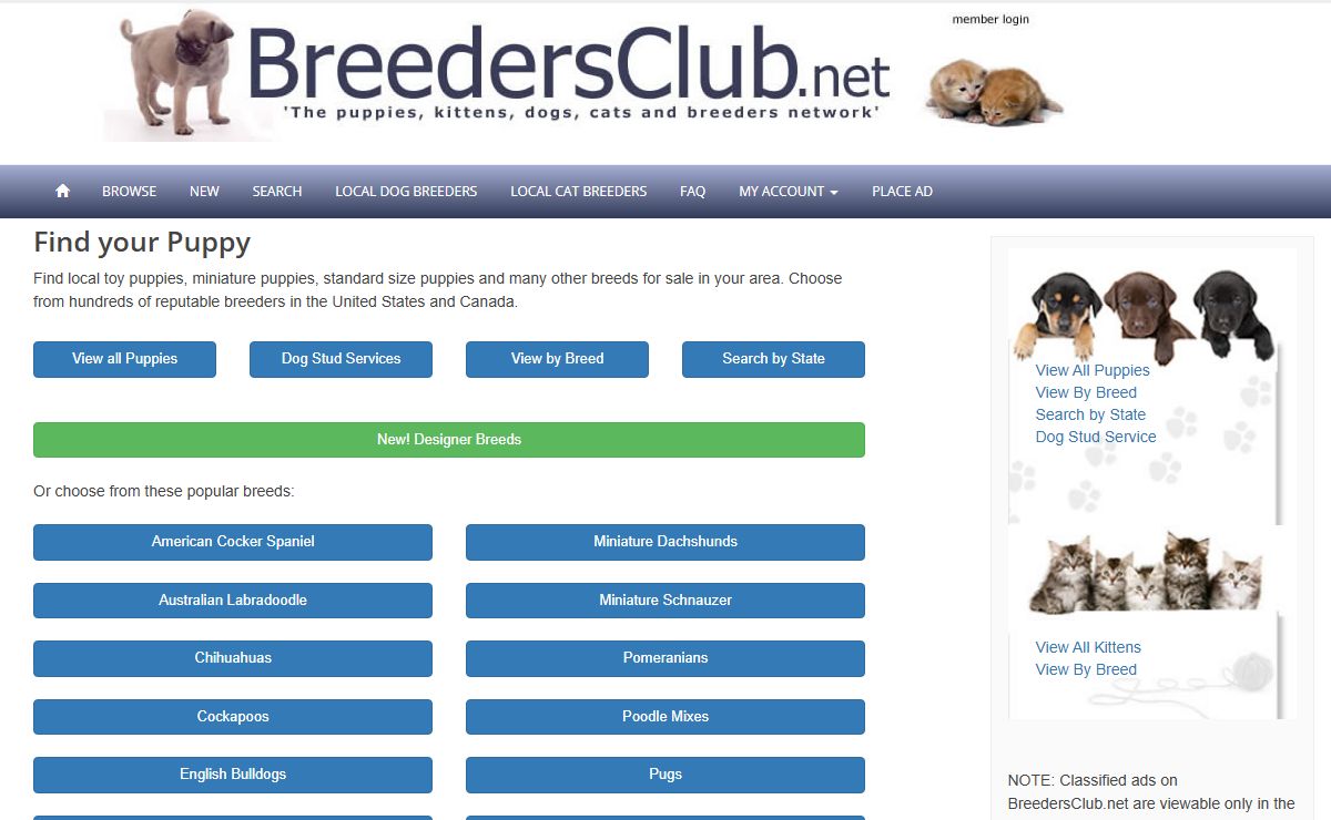 Local Puppies for sale, small dogs for sale, Dog Breeders, Cats & Kittens For Sale