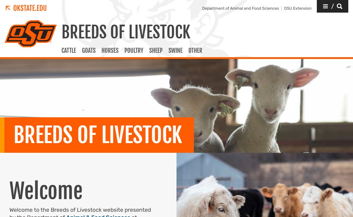 Breeds of Livestock | Oklahoma State University