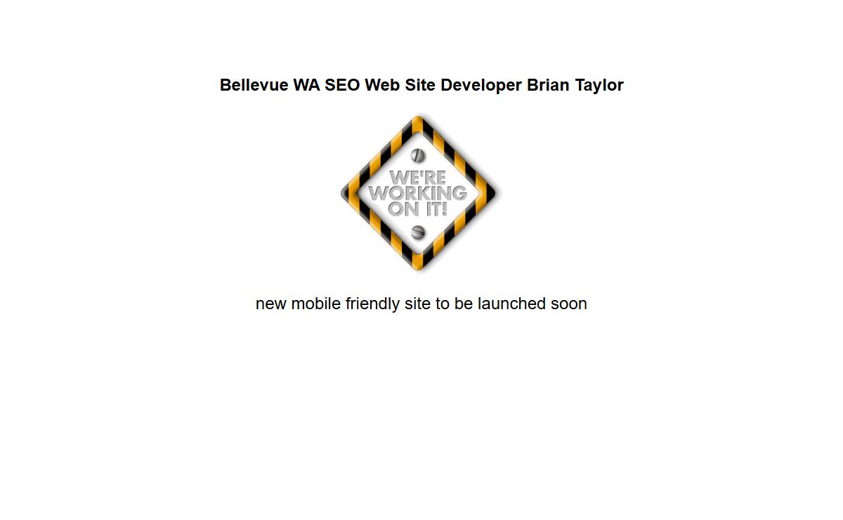 Bellevue WA SEO Web Site Developer Brian Taylor
