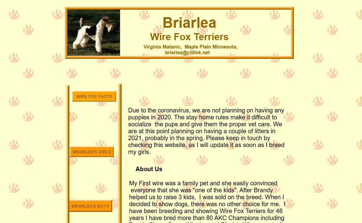 Briarlea Wire Fox Terriers