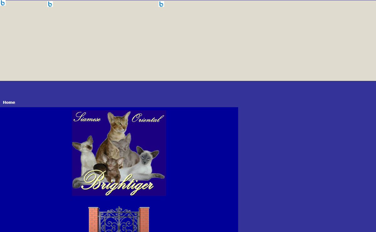 Brightiger Cats and Cadiz Dogs