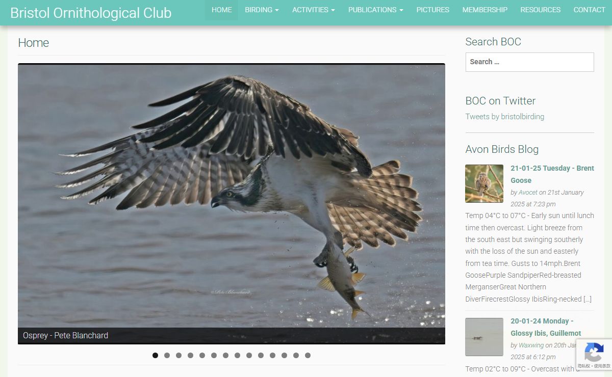 Home - Bristol Ornithological Club