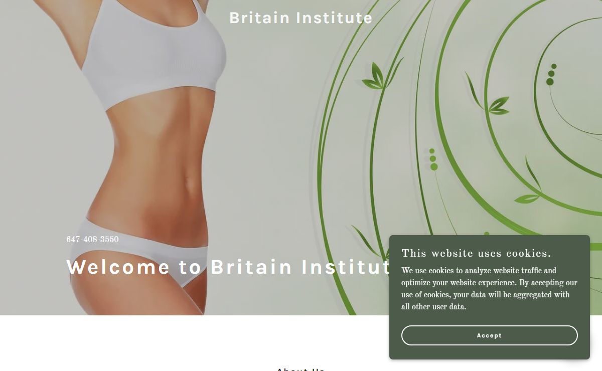 Britain Institute
