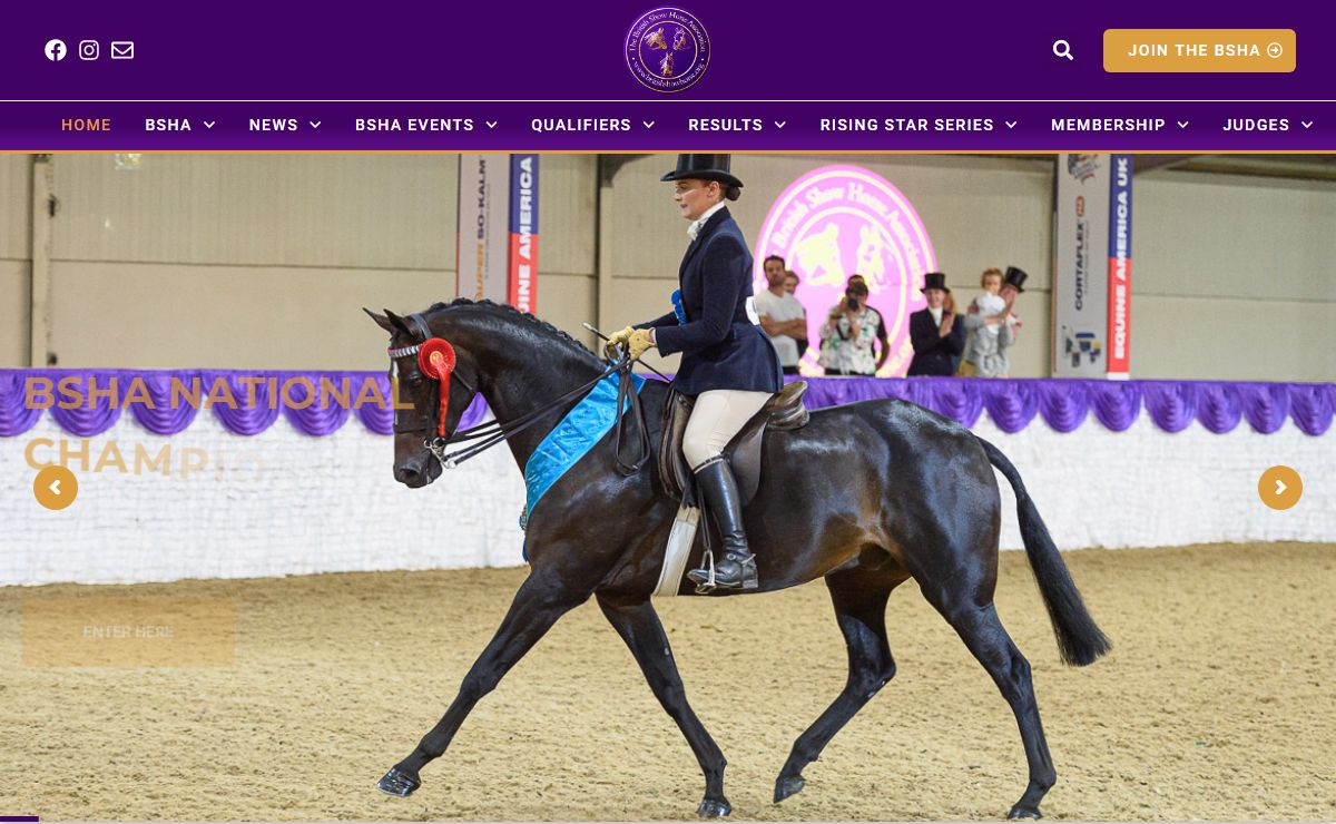 The British Show Horse Association