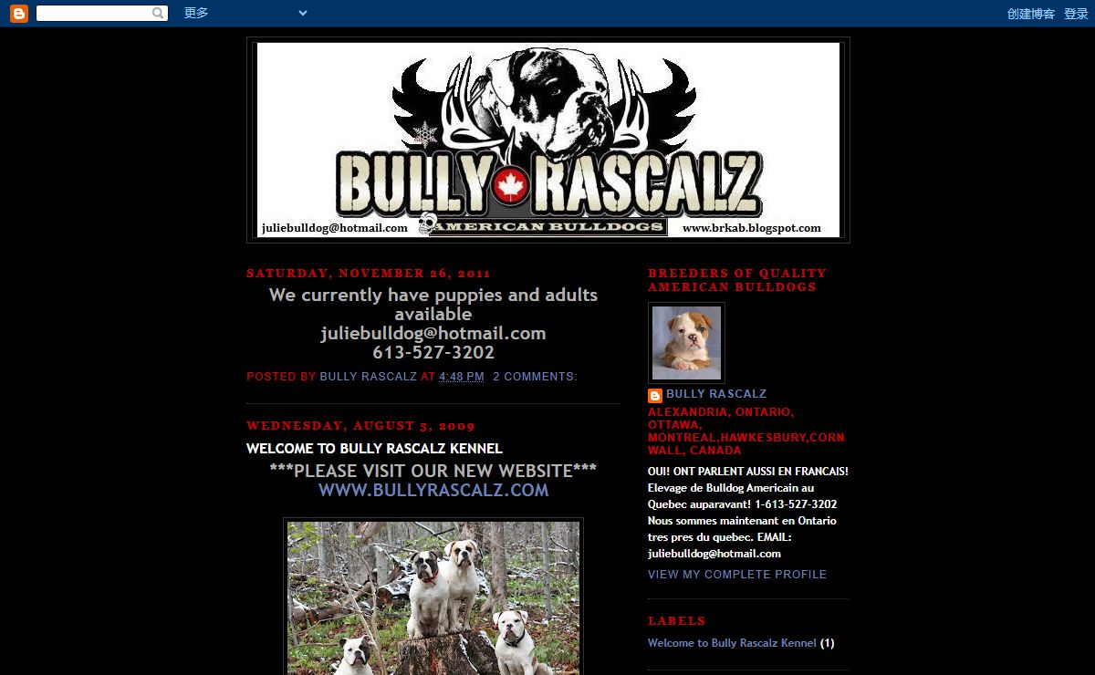 Bully Rascalz American Bulldogs