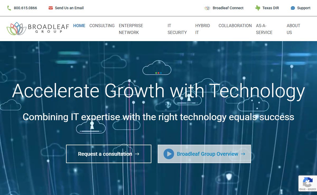 Broadleaf Group | IT Networking, Security & Strategic Consulting - Houston, TX