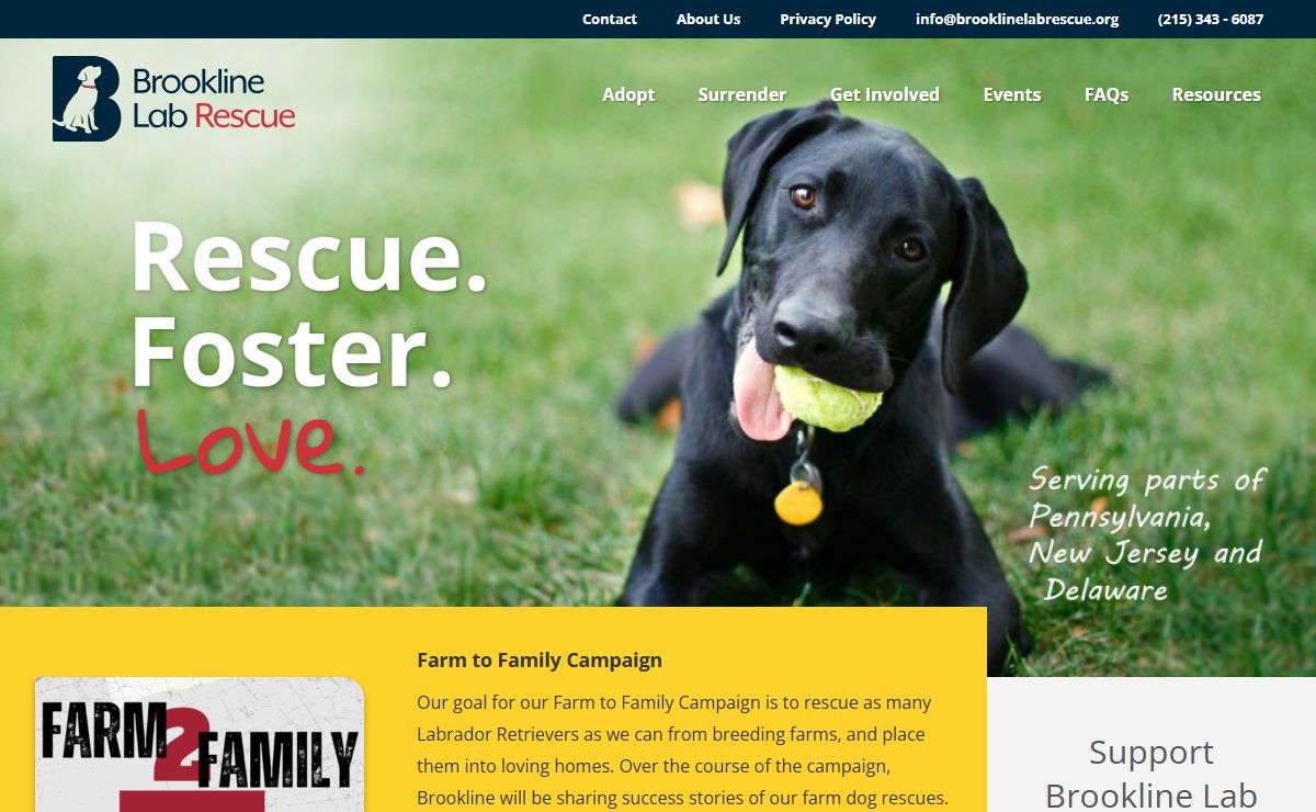 Home | Brookline Labrador Retriever Rescue | Brookline Labrador Retriever Rescue