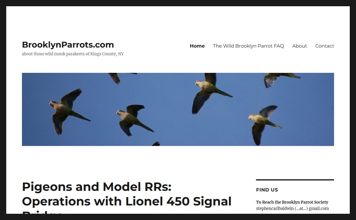 BrooklynParrots.com - about those wild monk parakeets of Kings County, NY